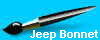 Jeep Bonnet